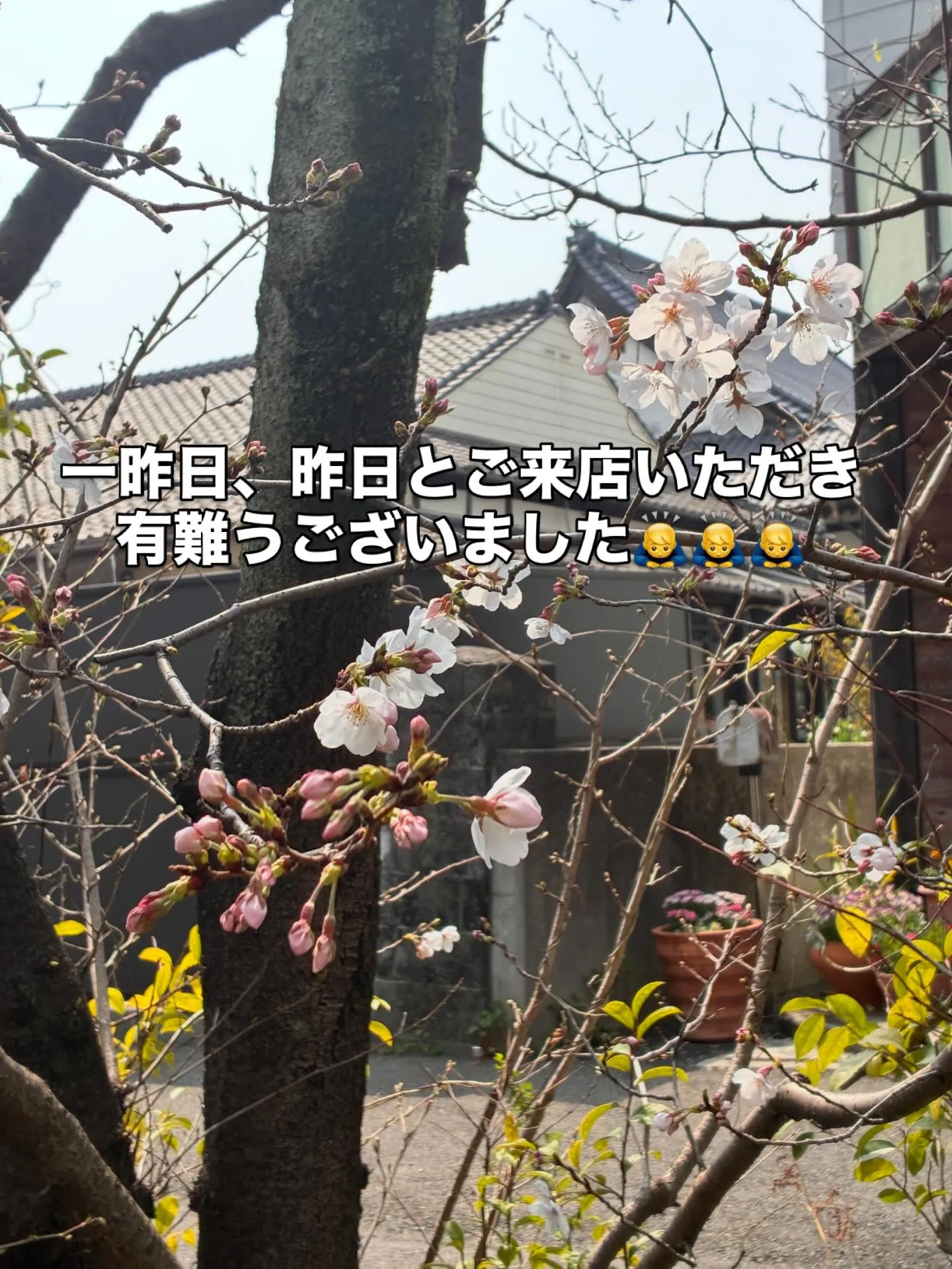 いつもご来店いただき有難うございます🙇♂️🙇♂️🙇♂️...